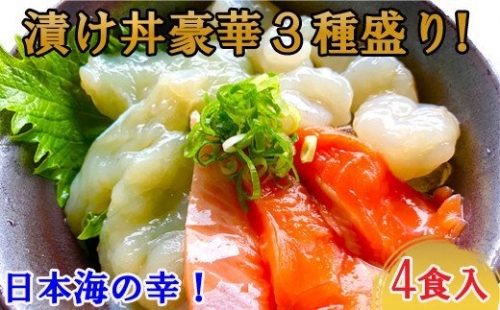 EY10：【ふるさと納税オリジナル】３種の漬け丼ミックスセット（４袋）