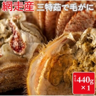 三特茹で毛がに 約440g×1尾＜網走産＞ ≪毛蟹 毛ガニ 北海道 かにみそ カニ味噌 蟹味噌 毛ガニボイル カニボイル 冷凍≫