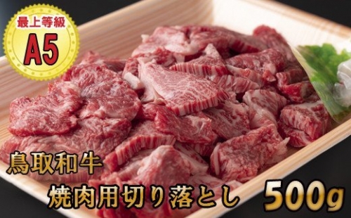 KA09:A5等級!鳥取和牛焼肉用切り落とし500g 203383 - 鳥取県日吉津村