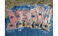 燻製の詰め合わせセット 11品 秩父の燻製工房【塩とけむり】
