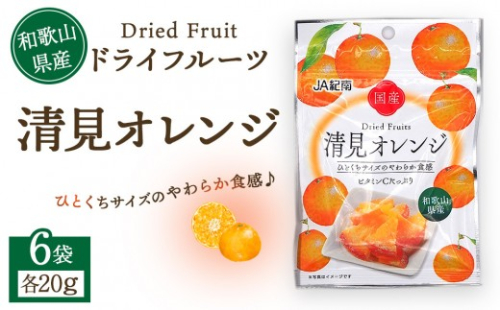 和歌山県産 ドライフルーツ 清見オレンジ 20g×6袋 2034069 - 和歌山県上富田町