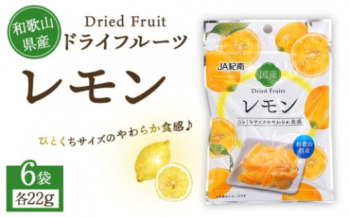 和歌山県産 ドライフルーツ レモン 22g×6袋 2034073 - 和歌山県上富田町