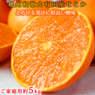 とろける食感!ジューシー柑橘 せとか 約5kg 【家庭用 訳あり】 ※2026年2月上旬～3月中旬頃に順次発送予定