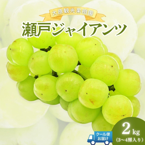 【2026年先行予約】［大原観光果樹園］瀬戸ジャイアンツ 3～4房（約2kg） 026-a016 2034122 - 岡山県鏡野町