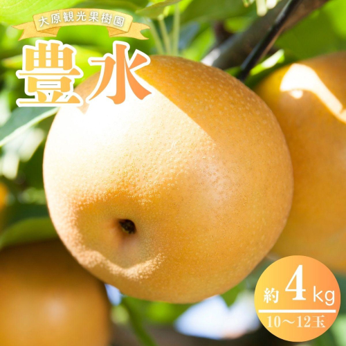 【2026年先行予約】［大原観光果樹園］岡山県産 旬の梨（豊水）（約4kg 10～12玉）【026-a022】 2034125 - 岡山県鏡野町