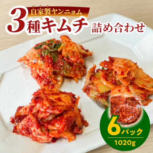 3種キムチ詰め合わせ （本格白菜キムチ・ニンニク無し白菜キムチ・大根キムチ） 計6P（3種×2P） 食べ比べ 手作り 無添加 本格 発酵食品 健康食品 キムチ 白菜 大根 漬物 H147-006 2034142 - 愛知県碧南市