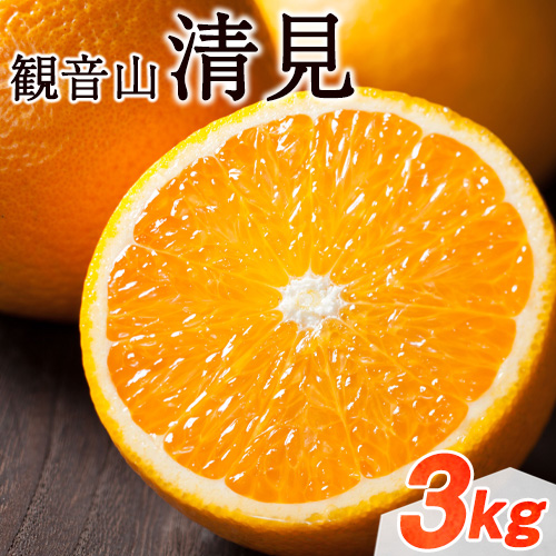 観音山清見 3kg (約15玉-21玉前後) 有限会社柑香園《2月中旬-4月上旬頃より順次出荷》和歌山県 紀の川市 フルーツ 果物 柑橘 みかん オレンジ 203417 - 和歌山県紀の川市