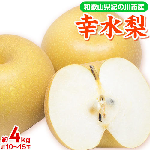 【先行予約】和歌山県紀の川市産 の幸水梨 約4kg （約10玉～15玉）紀の川市厳選館 《2026年7月下旬-8月中旬頃出荷》 和歌山県 紀の川市 果物 フルーツ なし ナシ 203422 - 和歌山県紀の川市