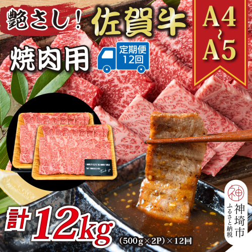 【12か月定期便】艶さし！【A4～A5】佐賀牛焼肉用 1kg(500g×2P)×12回【肉 牛肉 ブランド牛 黒毛和牛 ふるさと納税】(H112171) 2034261 - 佐賀県神埼市