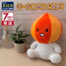 きーたんがぬいぐるみになって登場！ 日本一の生産量を誇る北見の玉ねぎから生まれたキャラクター「きーたん」。 北見市の特産品をPRするマスコットとして活躍しています。 きーたんは、みんなの応援団長。 寂