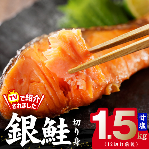 銀鮭 切り身 1.5kg お試し 12切れ前後【TVで紹介 訳あり サイズ不揃い 海鮮 魚介 鮭 さけ しゃけ お弁当 簡単調理】 G1819 2034317 - 大阪府泉佐野市