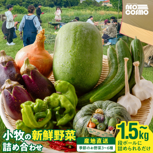★障がい者支援施設応援品★ ネオコスモ農園で採れた小牧の野菜詰め合わせ［124N02］ 2034361 - 愛知県小牧市