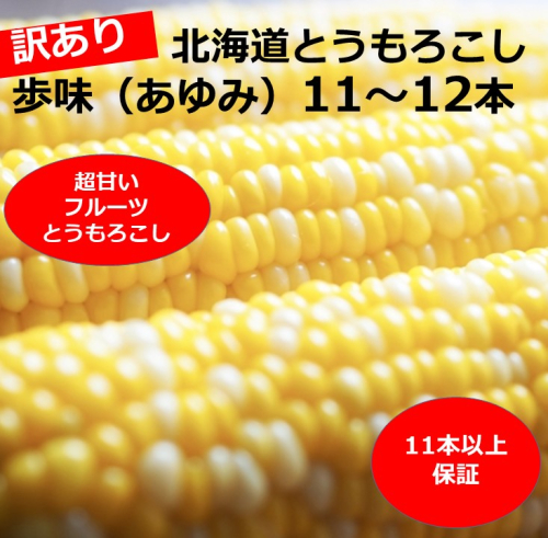 訳あり 北海道 歩味（あゆみ）バイカラーコーン 11～12本入り 4～5キロ とうもろこし トウモロコシ 数量限定 期間限定 甘い 朝採れ 2034471 - 北海道池田町
