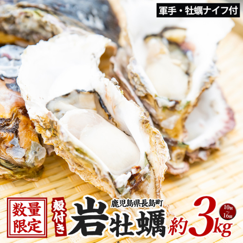 夏に美味い岩がき 約3.0kg 錦盛丸水産 (計約3.0kg・10個×約300g)【錦盛丸水産】kinsei-1298-02R7 203533 - 鹿児島県長島町