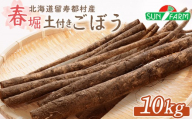 ごぼう 10kg ゴボウ オンライン 申請 ふるさと納税 北海道 留寿都 野菜 根菜 産地直送 新鮮 採れたて サラダ きんぴら 炊き込みご飯 かき揚げ 唐揚げ 惣菜 美肌 10キロ 留寿都村【24008】