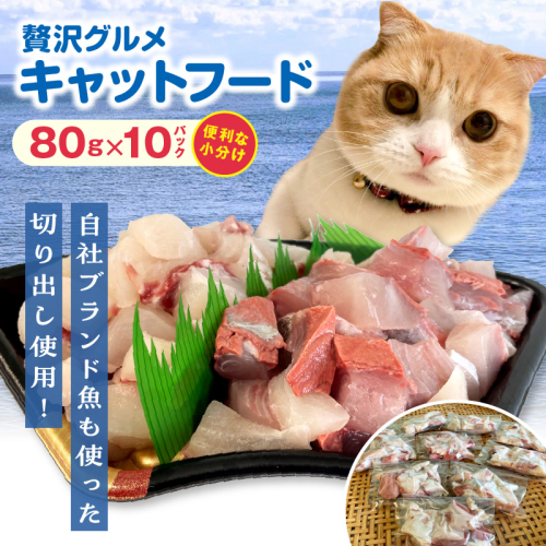 【至福の海の恵み】贅沢グルメキャットフード N072-YA0398 2035362 - 宮崎県延岡市