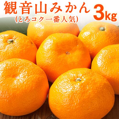観音山みかん(とろコク一番人気) 3kg 有限会社柑香園《2025年11月中旬-2026年1月下旬頃出荷》和歌山県 紀の川市 フルーツ 果物 柑橘 みかん 203557 - 和歌山県紀の川市