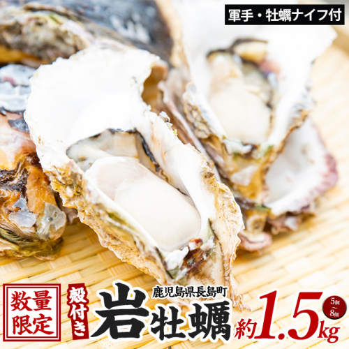 夏に美味い岩がき 約1.5kg 錦盛丸水産 (計約1.5kg・5個×約300g)【錦盛丸水産】kinsei-1298-01R7 203595 - 鹿児島県長島町
