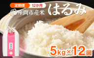 【定期便】12か月 座間市産米 はるみ5kg×12回 ※離島への配送不可 ※2025年10月下旬頃より順次発送予定