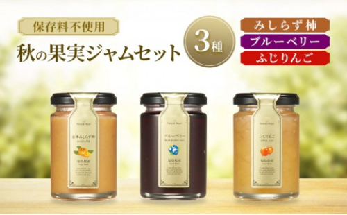 ジャム 秋の果実ジャムセット 3種（ 柿 ブルーベリー りんご ） 保存料不使用 プレザーブスタイル みしらず柿 かき ふじりんご リンゴ セット 2036631 - 福島県郡山市