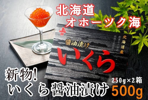 【新物！】いくら醤油漬け500g 203688 - 北海道網走市