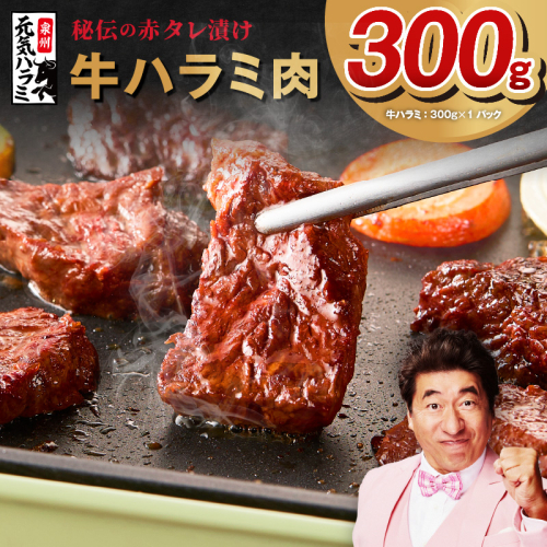 【お試し】牛ハラミ 300g【お試し 秘伝の赤タレ漬け 牛肉 焼肉用 焼くだけ はらみ 小分け BBQ やきにく 肉厚 高評価 訳あり サイズ不揃い】 010B1883 2036936 - 大阪府泉佐野市