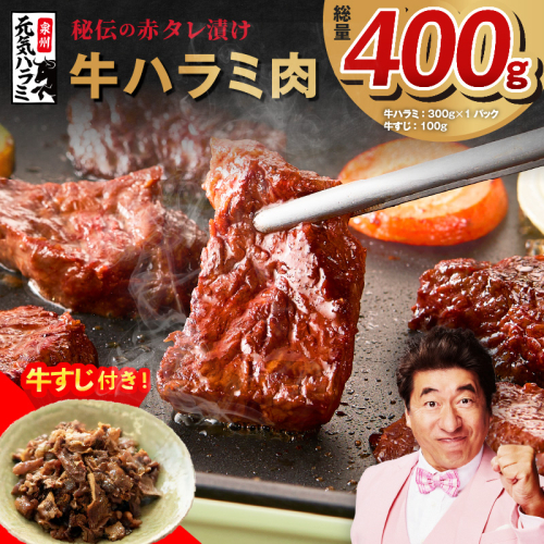 【お試し】牛ハラミ 300g+牛すじ 100g【お試し 秘伝の赤タレ漬け 牛肉 焼肉用 焼くだけ はらみ 小分け BBQ やきにく 肉厚 高評価 訳あり サイズ不揃い】 005A679 2036936 - 大阪府泉佐野市
