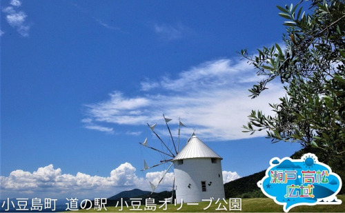 【 小豆島 】「瀬戸・たかまつネットワーク」貸切クルーザーで巡る香川県（小豆島・男木島方面）2日間 チケット ペア 旅行券 観光  203700 - 香川県土庄町