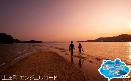 【 小豆島 】「瀬戸・たかまつネットワーク」香川県　アート島めぐり（小豆島・豊島・直島方面）2日間 チケット ペア 旅行券 観光  203703 - 香川県土庄町