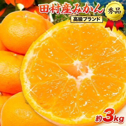 みかん 高級ブランド 秀品 紀州有田田村産みかん 3kg 株式会社魚鶴商店《12月上旬-1月中旬頃出荷(土日祝除く)》和歌山県 日高町 田村産 柑橘 フルーツ くだもの 果物 2037389 - 和歌山県日高町