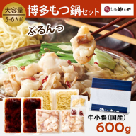 博多もつ鍋やまや 6回 定期便 博多もつ鍋やまや もつ鍋セット あごだし醤油味 5～6人前 ちゃんぽん麺 薬味付 総計30人前 [やまやコミュニケーションズ 福岡県 宇美町 um40azo860013] 牛もつ 具材 モツ鍋 牛ホルモン セット