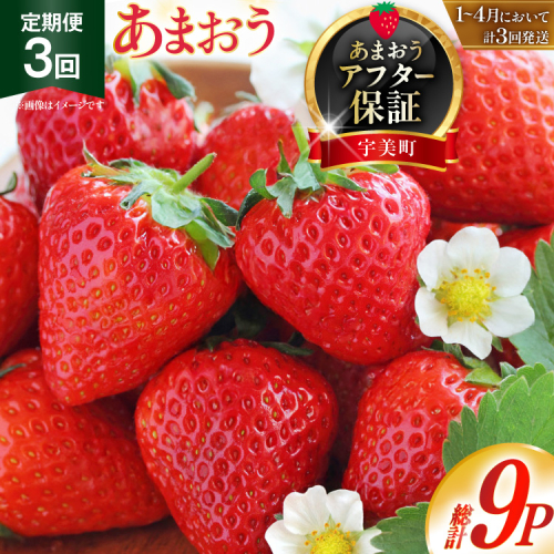 【期間限定発送】 いちご 定期便 あまおう 3p 3回 総計9p [THE FARM_strawberry 福岡県 宇美町 um40azo780004] イチゴ 苺 フルーツ 果実 甘い 小分け 2037425 - 福岡県宇美町