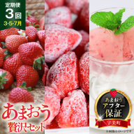 [期間限定発送] いちご 定期便 贅沢セット フレッシュあまおう & 冷凍あまおう & ジェラート 2種 [THE FARM_strawberry 福岡県 宇美町 um40azo780005] アイス イチゴ 苺 フルーツ 果実 甘い 小分け