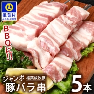 椎葉放牧豚 BBQ用 ジャンボ豚バラ串 5本 (生冷凍)