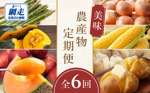 【定期便6回】網走美味農産物定期便「年6回お届け」（網走加工） ABAO1026 2037625 - 北海道網走市