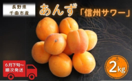 [2026年先行予約]あんず 信州サワー(長野県オリジナル品種) 約2kg 杏子 アプリコット シロップ漬け 千曲市産 長野県 信州