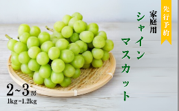 【こんな美味しさをお届けします】信州・長野県の自然の恵みを受け、愛情込めて育てられたシャインマスカット。皮ごと食べられる高級品種で、朝採りの新鮮なものを産地直送でお届けします。ご家庭で贅沢な味わいをお