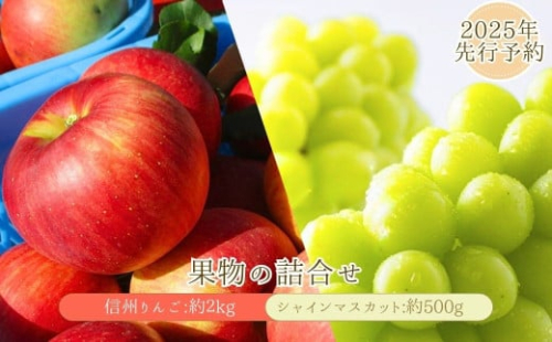 シャインマスカット 約500g・りんご3種詰め合わせ 計約2kg（5~8玉）