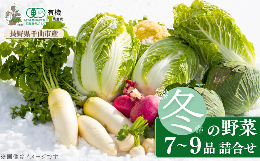 先行予約受付中【発送時期：2025年11月中旬~12月中旬】発送日には収穫したての新鮮な野菜を7~9品目お届けいたします！（じゃがいもや玉ねぎなど、一部の根菜類は除かれます）お届け予定の野菜例：小松菜