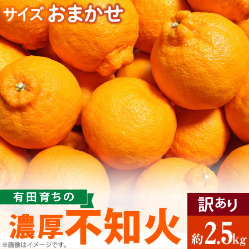 AB7055n_(先行予約)有田育ちの濃厚 不知火 (デコポンと同品種)（訳あり 家庭用）2.5kg (サイズおまかせ) 203782 - 和歌山県湯浅町