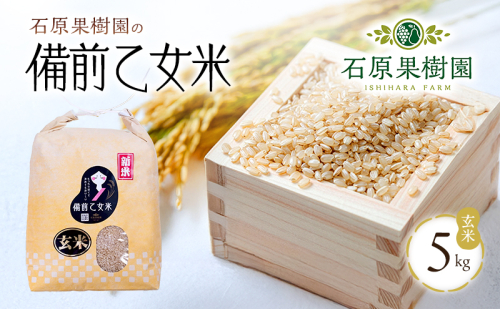 米 令和7年産 石原果樹園の備前乙女米 玄米 5kg×1袋 ※11月上旬～順次発送予定 お米 ライス  乳酸菌栽培 岡山県 おにぎり お弁当 2038079 - 岡山県高梁市