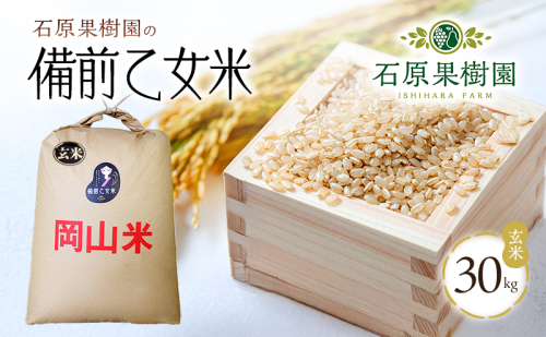 米 令和7年産 石原果樹園の備前乙女米 玄米 30kg×1袋 ※11月上旬～順次発送予定 お米 ライス  乳酸菌栽培 岡山県 おにぎり お弁当 2038083 - 岡山県高梁市