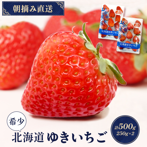 【受注後、随時発送！】【北海道産】ゆきいちご（すずor恋みのり） ２Pセット 各250g×２ 計500g | 苺 いちご 一季成りイチゴ 希少 ギフト お取り寄せ ふるさと納税 北海道 中標津【5900501】 2038529 - 北海道中標津町