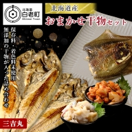 【北海道産】海産物のプロが選ぶ！おまかせ干物セット