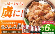 【12回定期便】豚丼セット 豚肉 肩ロース 国産 白川町 / 藤井ファーム [AWAF015]
