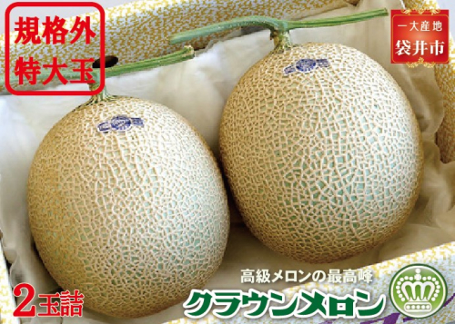 クラウンメロン　規格外特大玉（約1.7Kg～）2玉入　 果物類 メロン青肉  203910 - 静岡県袋井市
