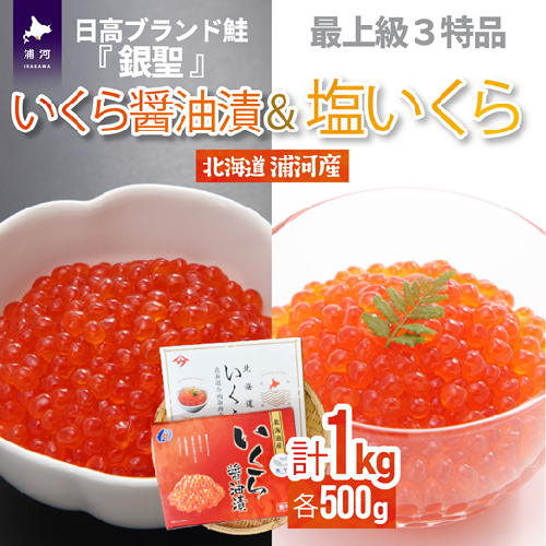 銀聖いくら醤油漬(500g)と塩いくら(500g)セット[02-046] 203942 - 北海道浦河町