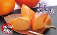 【秋の美味】【和歌山ブランド】 濃厚!富有柿　秀品　Mサイズ　約7.5kg入り【ard013A】