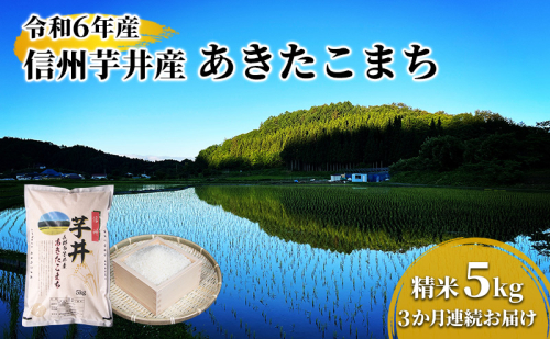 米 【3ヶ月連続お届け】令和7年産　信州芋井産あきたこまち精米5kg 定期便 お米 ごはん コメ 白米 精米 お取り寄せ 信州 長野 2041136 - 長野県長野市