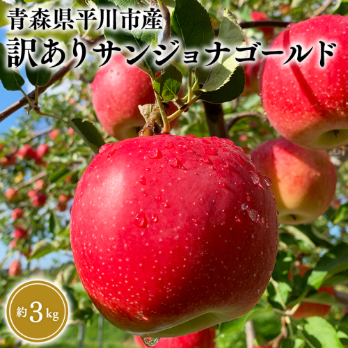10月中旬～発送　 訳あり サンジョナゴールド約3kg(家庭用)【なるみ農園・青森りんご・平川市産・数量限定】 2041239 - 青森県平川市